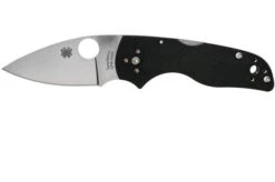 Spyderco Lil' Native Backlock C230MBGP Pocket Knife